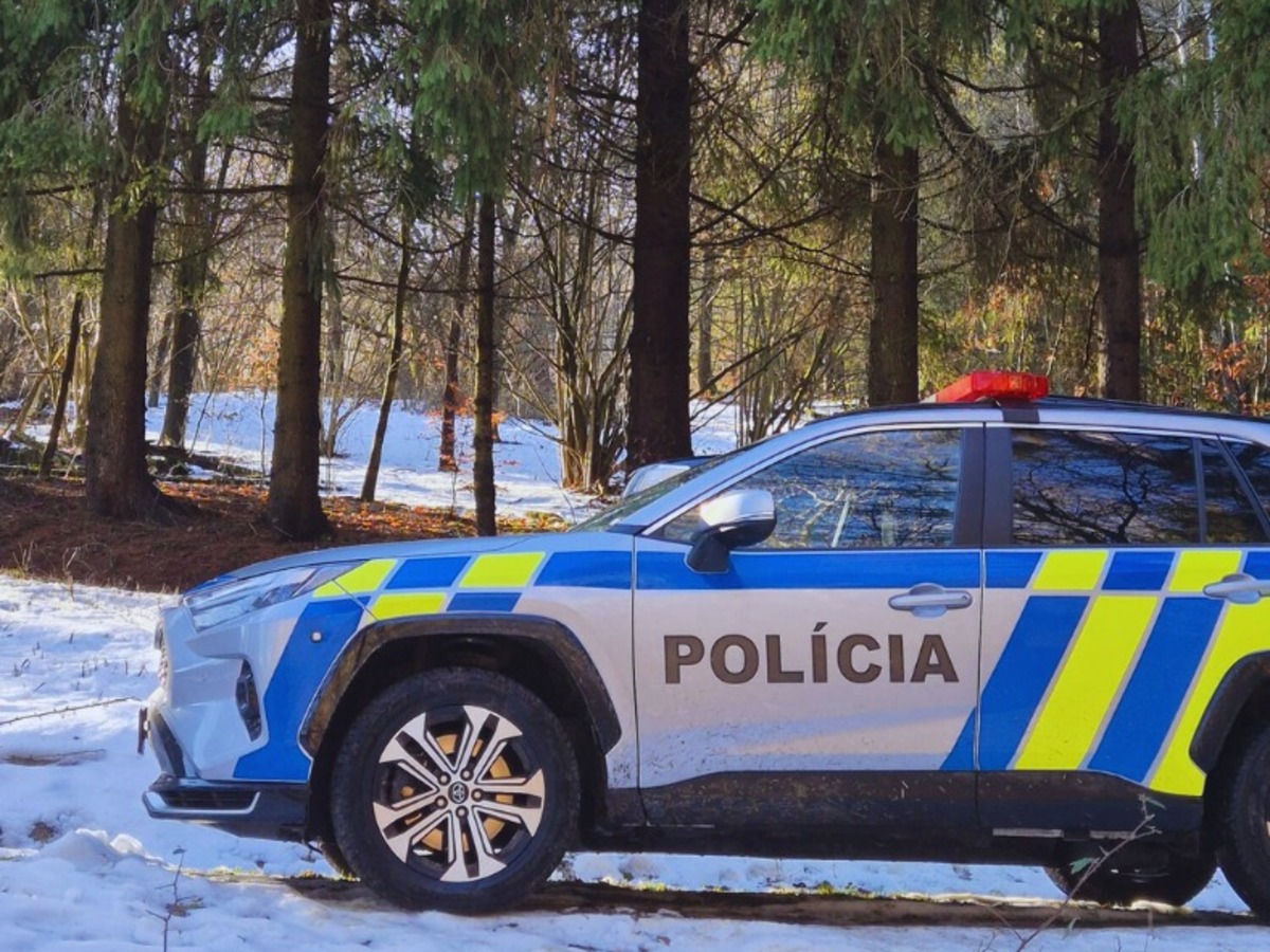 policia les v lese