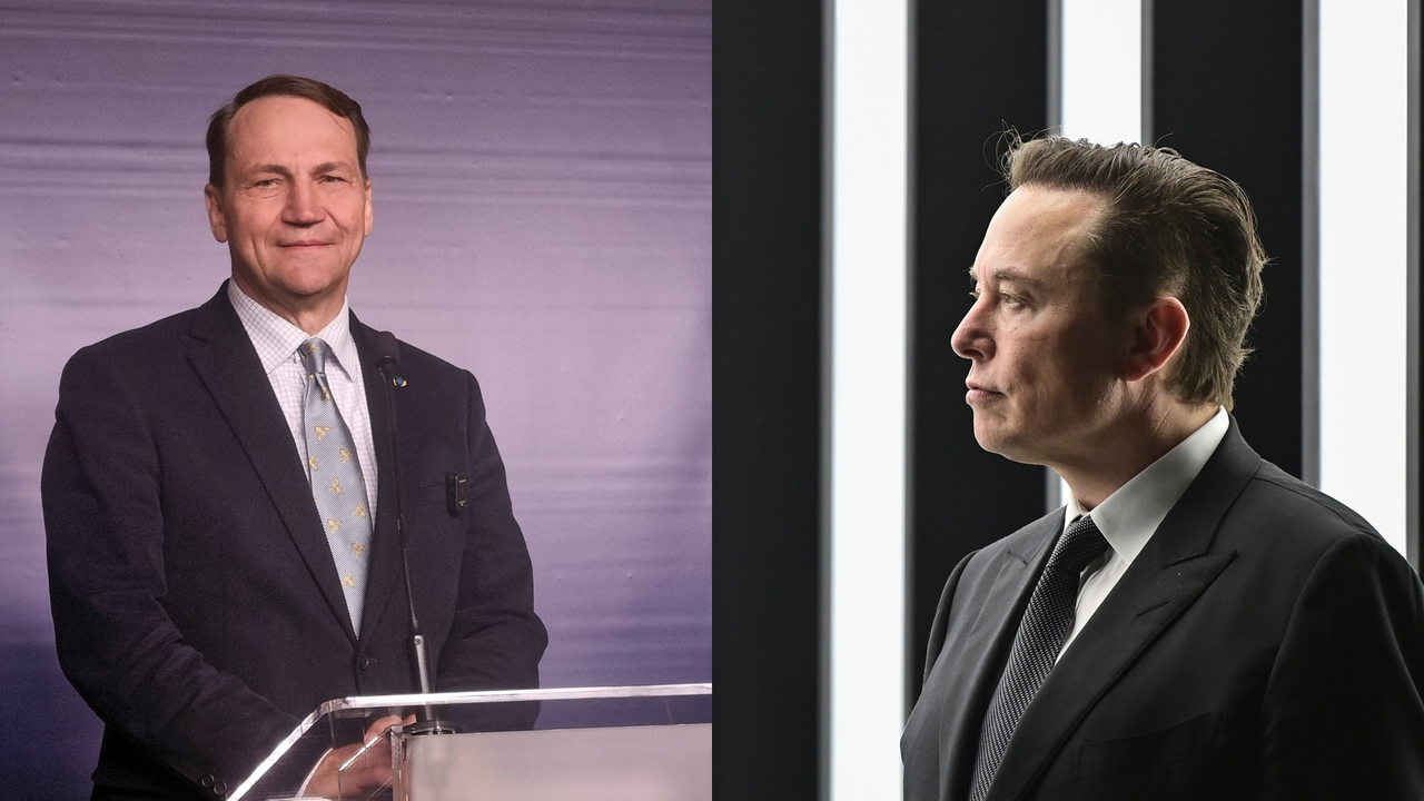 Radoslaw Sikorski Elon Musk
