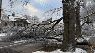 Zimná búrka v Spojených štátoch má na svedomí už vyše 60 obetí. Cez víkend príde ďalšia