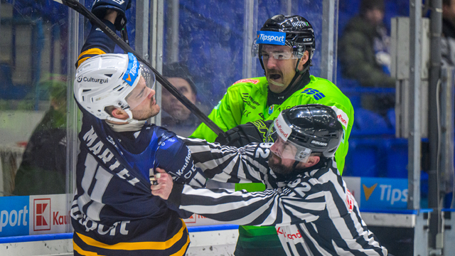 2026_01_30_hokejTL_SNV1ZA_13189732.jpg