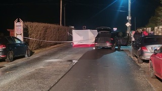 Senec zrazený chodec