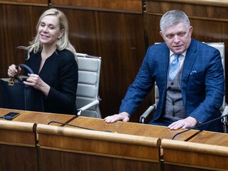 fico a saková v nrsr.jpg