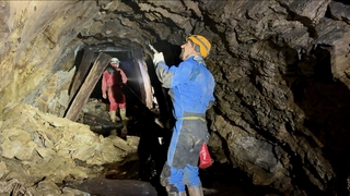 LED_Rátajú netopiere.jpeg