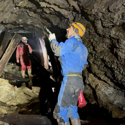 LED_Rátajú netopiere.jpeg