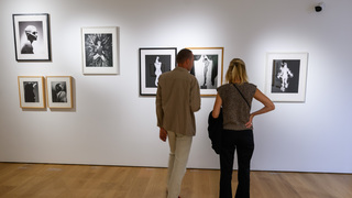 Otvorená Kultúra!: Do SNG chodí o polovicu menej ľudí. Za prázdnu galériu nesie zodpovednosť Šimkovičová