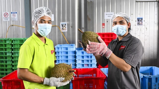 durian.jpg