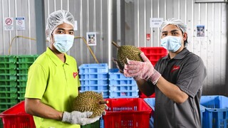 durian.jpg