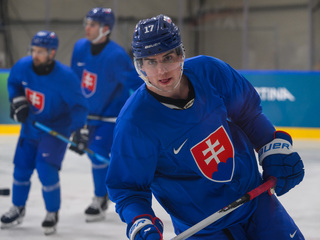 Hokej, reprezentácia, Šimon Nemec