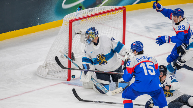 ZOH Slovensko Fínsko