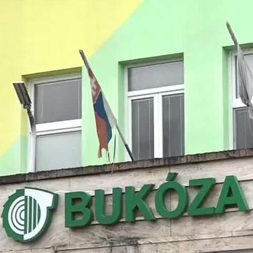 bukóza