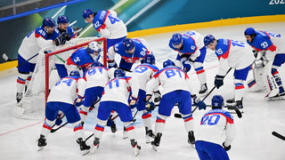 zoh slovensko svedsko