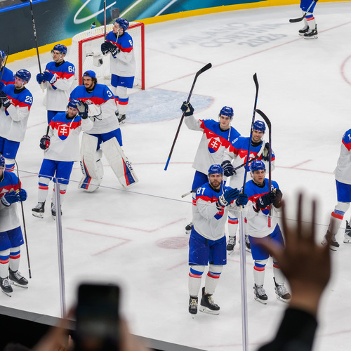 zoh, slovensko, hokej, reprezentácia