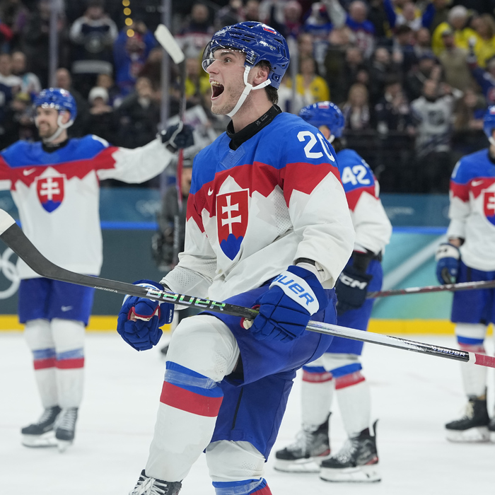 Slakovský Slovensko hokej