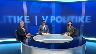 Gašpar, Števulová V politike