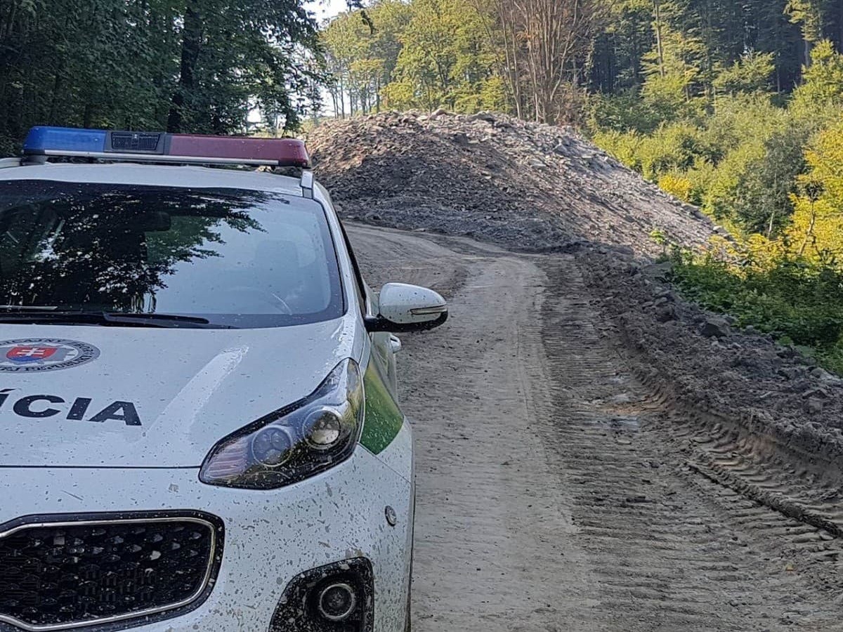 polícia policajti hliadka