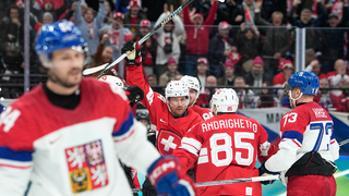 česko švajčiarsko.jpg