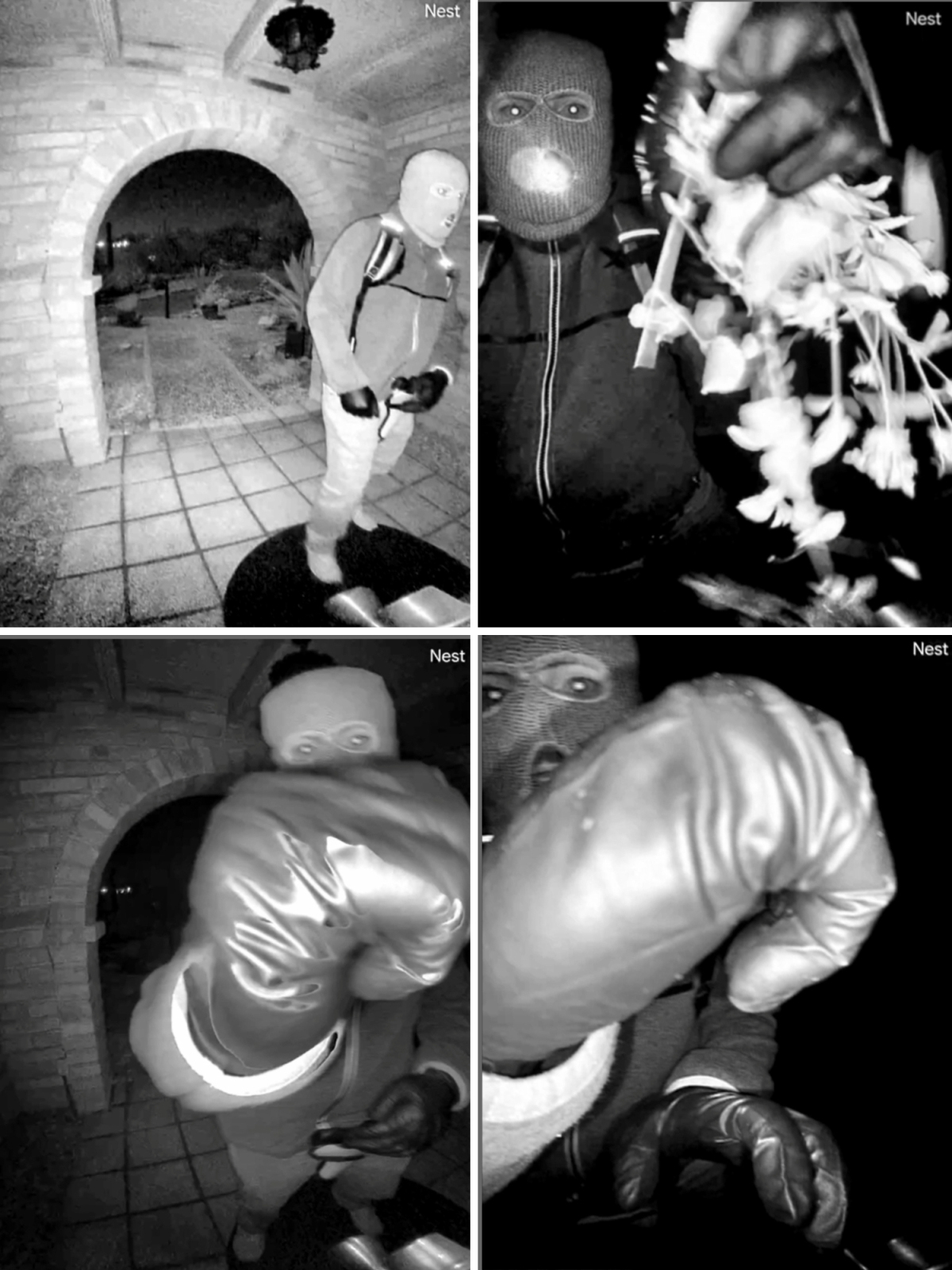 Savannah_Guthrie Nancy Guthrie unosca