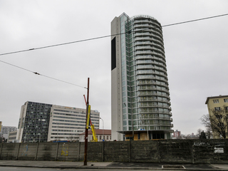 Kukurica