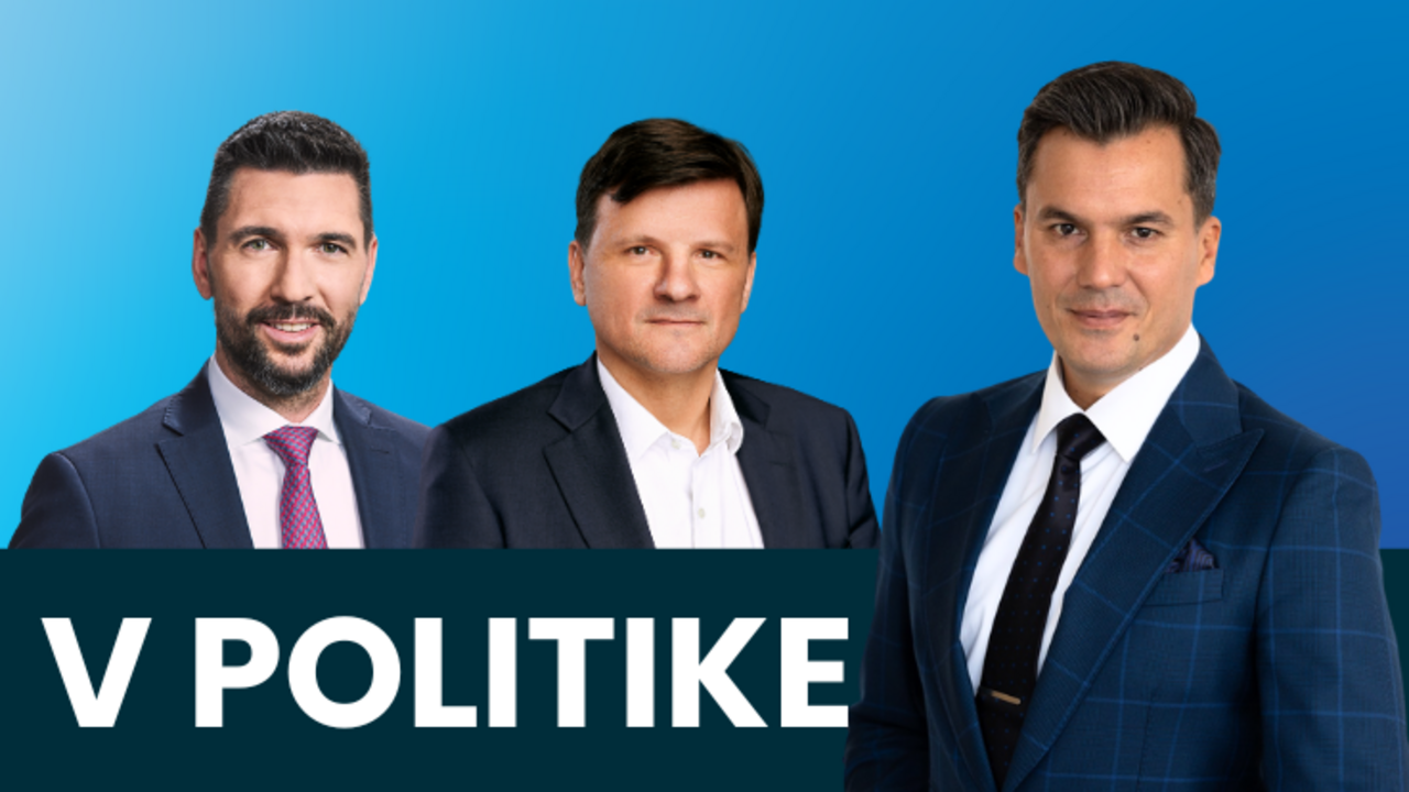 V politike 