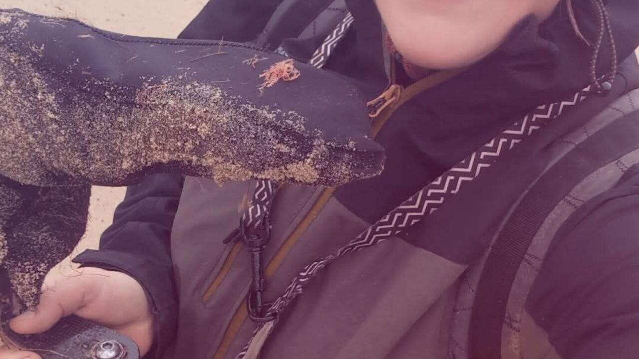 elizabeth forbes.jpg