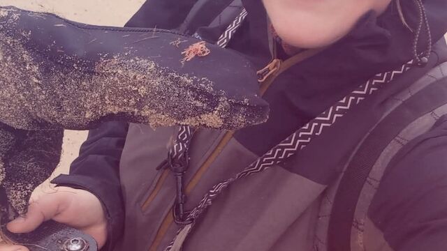 elizabeth forbes.jpg