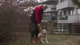 Terapia, ktorá má labky. Canisterapia prináša klientom pocit bezpečia, prijatia a nádeje