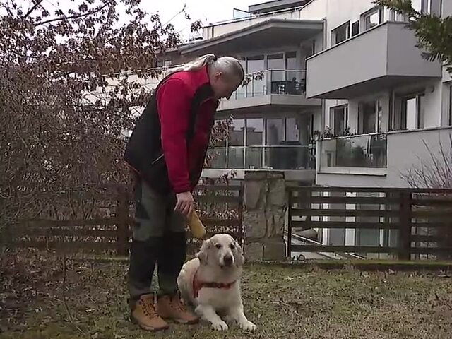 Terapia, ktorá má labky. Canisterapia prináša klientom pocit bezpečia, prijatia a nádeje