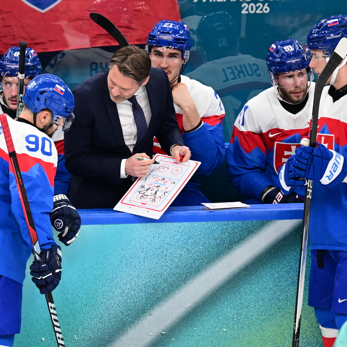 Tomáš Tatar, Vladimír Országh