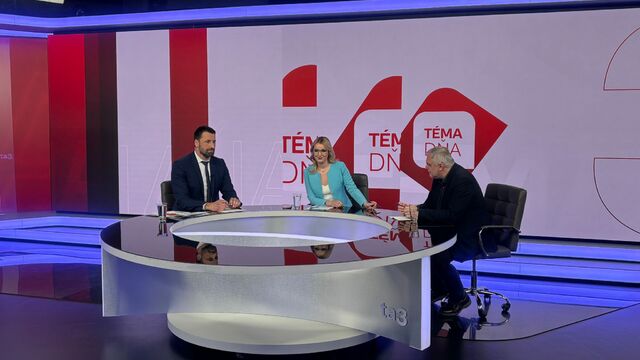 téma michelko viskupič.jpeg