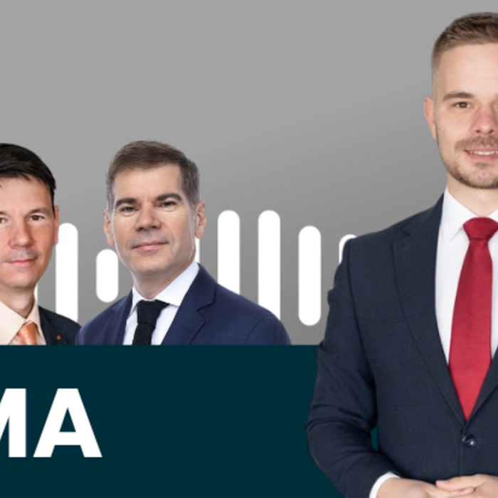 Podcast Téma Dňa (2).png