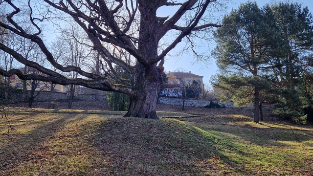 20260312_085204 (1).jpg