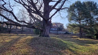 20260312_085204 (1).jpg