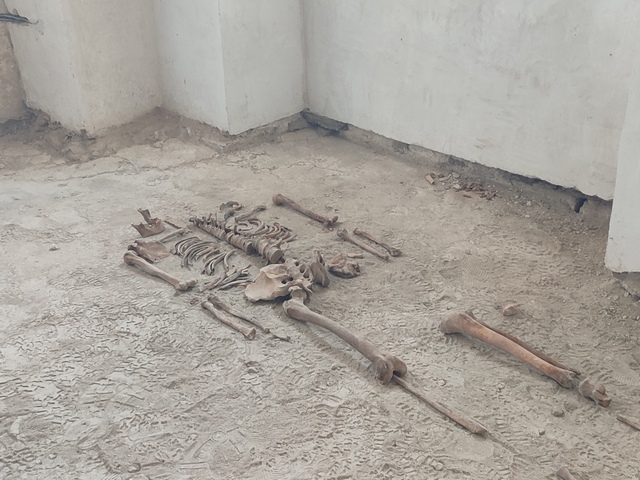 Senzácia na Veľkej Skalke. Archeológovia pod podlahou kláštora nečakane odkryli kryptu s pozostatkami významného mnícha