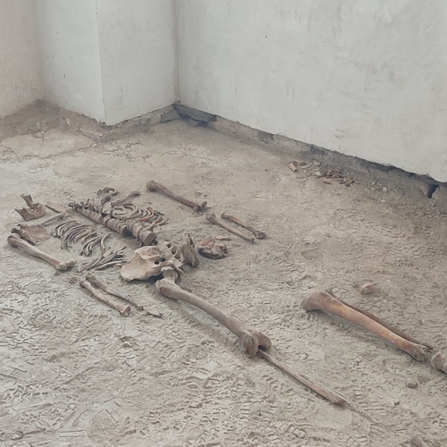 Krypta, Veľká Skala, archeologický nález