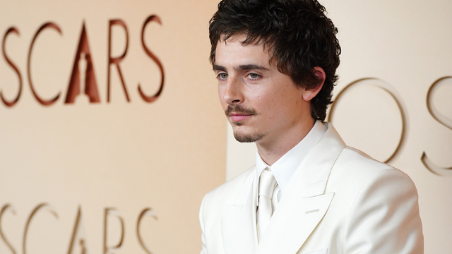 Timothee Chalamet na červenom koberci