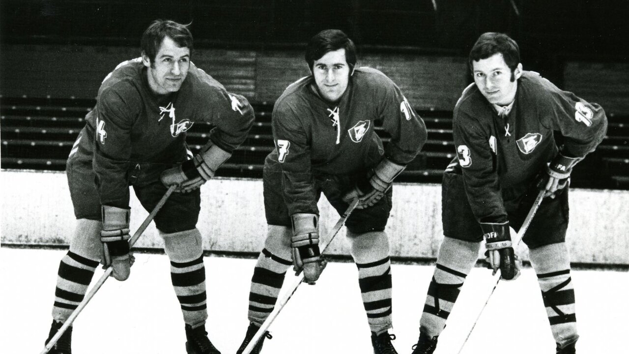 Vladimír Stránský, Miloš Holaň, Zbyněk Neuvirth