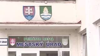 Pri kúpeľoch v Dudinciach nebude žiadna spaľovňa. Obce zvíťazili nad investorom, envirorezort stopol projekt