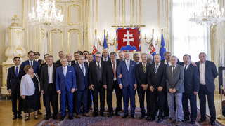 Majstri Európy 1976, pellegrini 