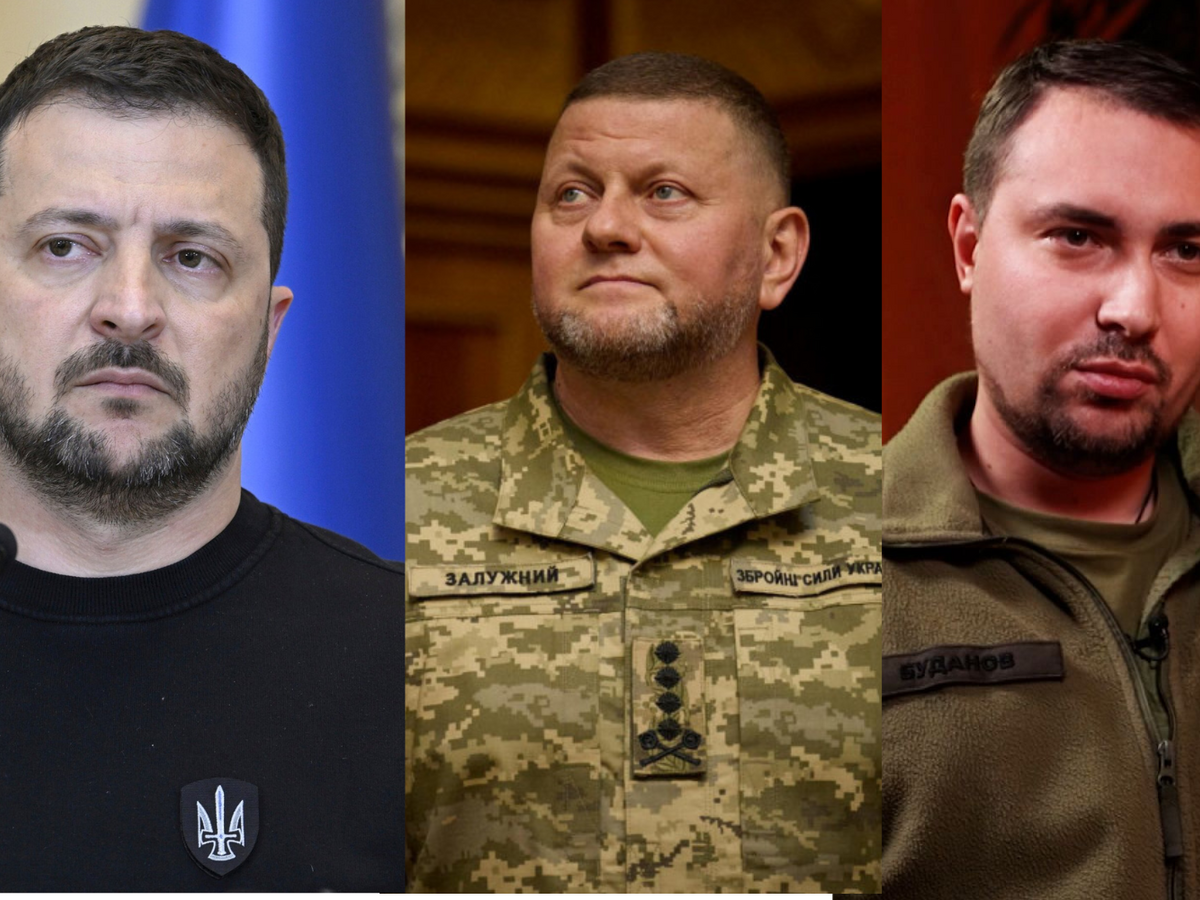 Zelenskyj Zalužnyj Budanov