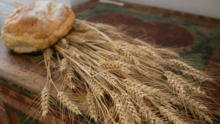 Pekári kritizujú reťazce za staré pečivo z dovozu. Obchody obvinenia odmietajú a hovoria o neschopnosti výrobcov