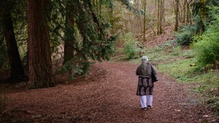 Vojny, ceny aj politika tlačia na psychiku, ľudia hľadajú únik. Nový trend ich vedie späť medzi stromy