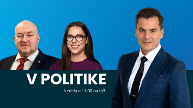 V politike
