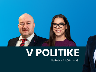 V politike