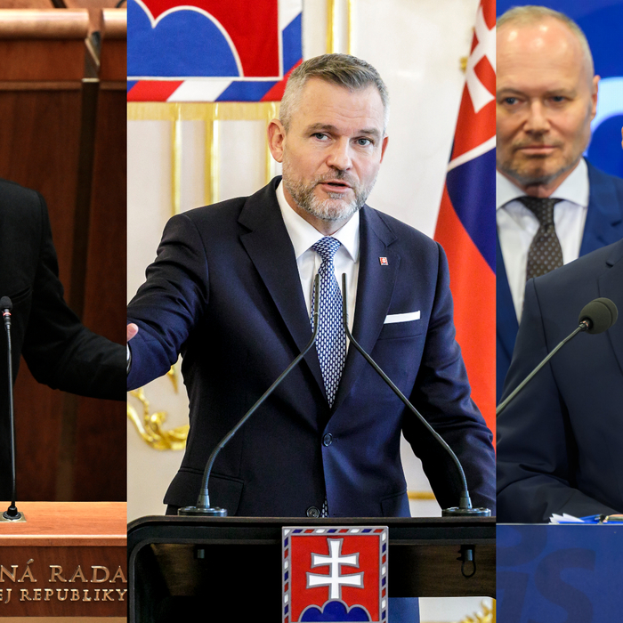 matovič pellegrini grohling.jpg