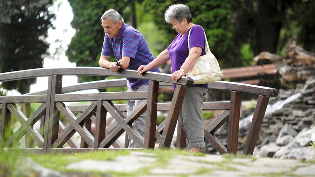 dôchodca dôchodcovia penzista penzisti