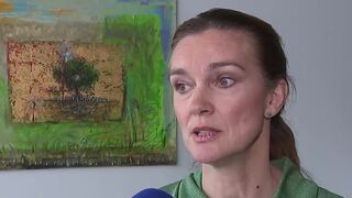 SNS sa od Tarabu dištancuje. Politologička pomenovala, aký signál tým strana vysiela