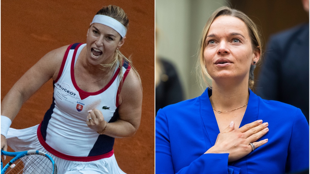 Dominika Cibulková, Romana Tabaková