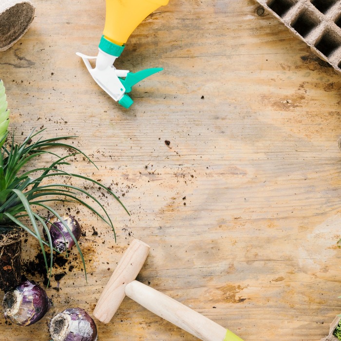 overhead-view-peat-tray-peat-pot-dibber-onion-plant-with-soil-brown-wooden-surface.jpg