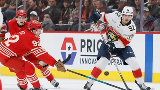 Obrovská smola českého víťaza Stanleyho pohára. Prišiel o ZOH, krátko po návrate do NHL si zlomil nohu