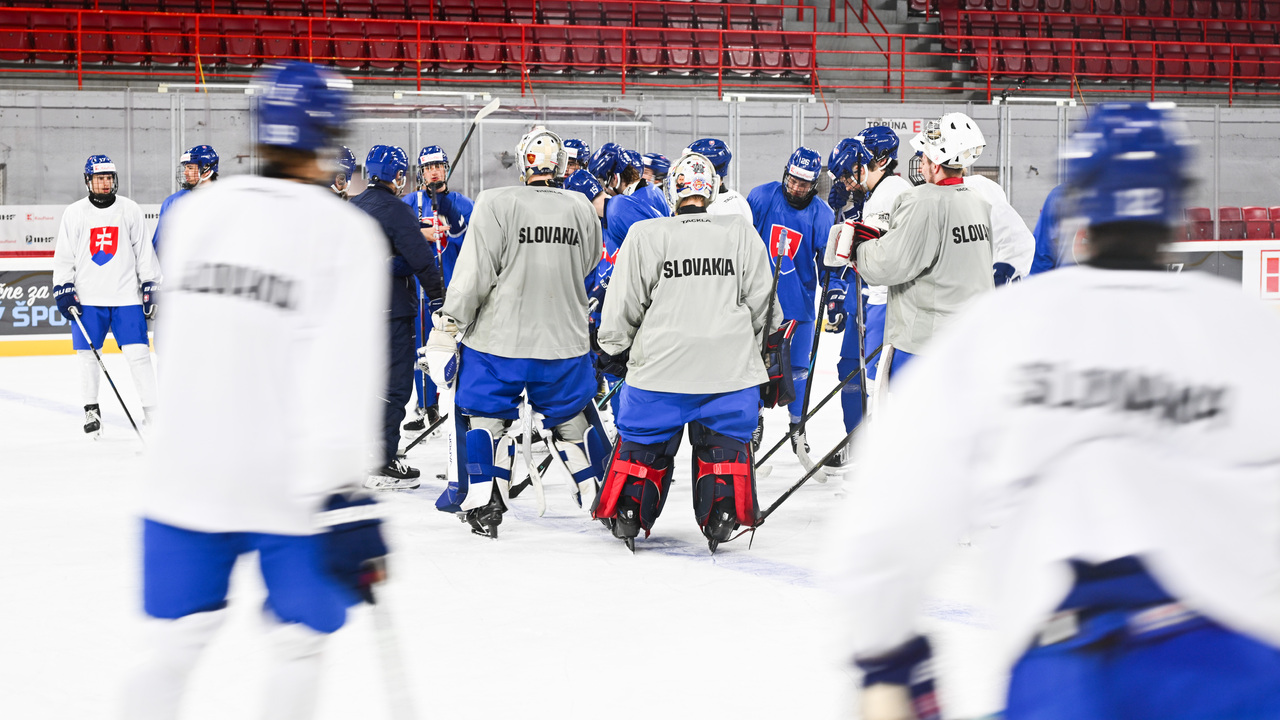 tréning, slovenskí hokejisti